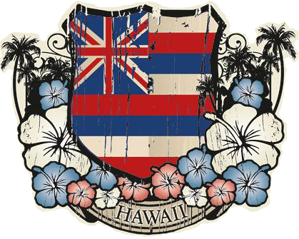 Hawaii Congressional Candidates