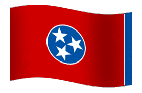 Tennessee Governor Candidates