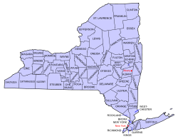 New York Congress Candidates